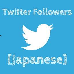 twitter日本,洞察本土社交网络的风云变幻