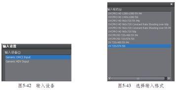 视频输入格式,揭秘输入格式背后的奥秘