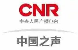 央视新闻重要爆料,揭开重大事件背后真相