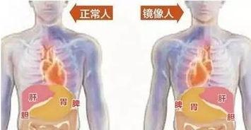 日本镜像人,穿越时空的异域风情之旅