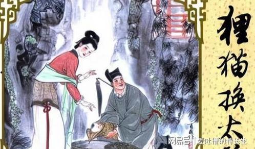 狸猫换太子视频,一场宫廷秘史的奇幻演绎