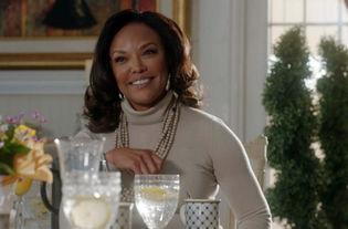 绿叶第二季在线播放,续写生态传奇，探索自然奥秘