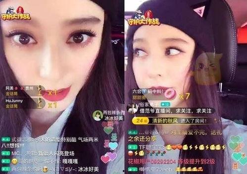 中国明星直播平台,中国明星闪耀各大平台