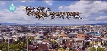 日本的宇土路村,传统与现代的和谐交融