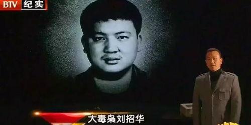 走火第31集免费观看,揭秘剧情高潮，免费观看精彩瞬间