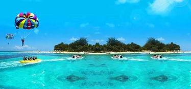 海岛爆料小视频,小视频带你领略神秘海岛魅力