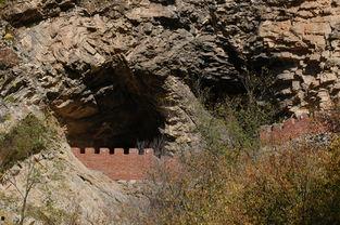 无码 双洞齐,揭秘自然界的神奇现象