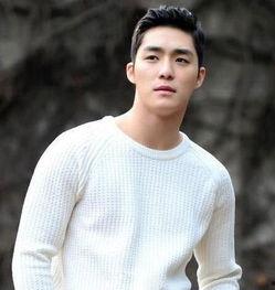 韩国知名男星飞机视频,揭秘知名男星飞机视频幕后故事